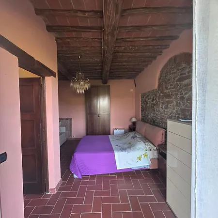 Colle Donatucci Country house Castagneto Carducci